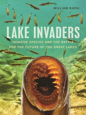 cover image of Lake Invaders